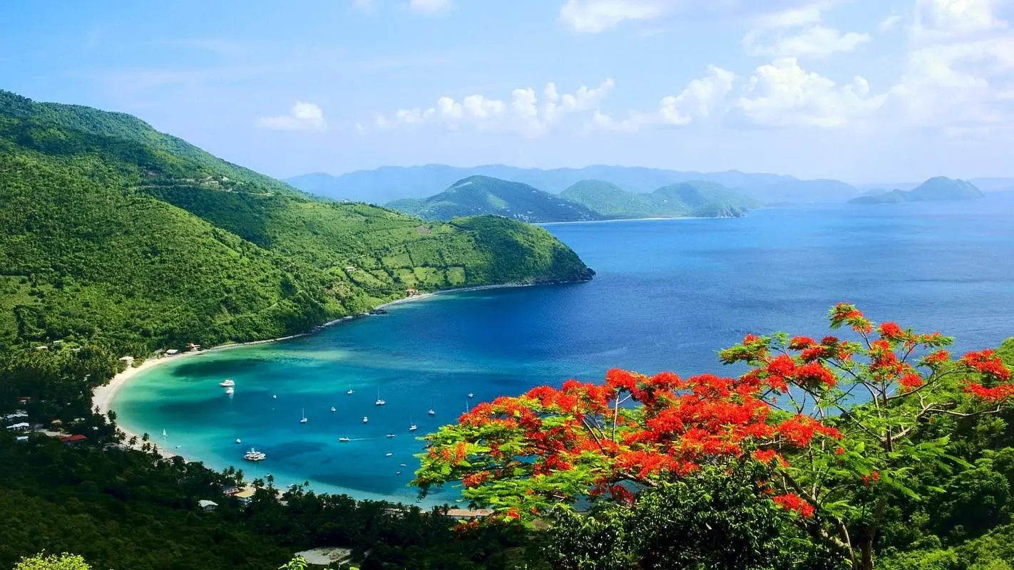 全自动节能新型